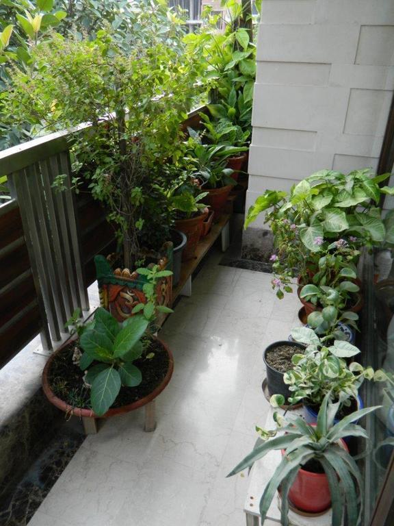 Deerpark Villaニューデリー 部屋 写真